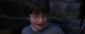 PF-Potterish_01512.jpg