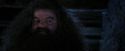 PF-Potterish_01538.jpg