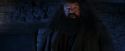 PF-Potterish_01553.jpg
