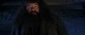 PF-Potterish_01554.jpg
