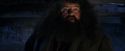 PF-Potterish_01555.jpg
