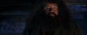 PF-Potterish_01556.jpg