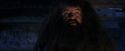 PF-Potterish_01557.jpg
