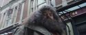 PF-Potterish_01592.jpg