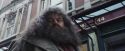 PF-Potterish_01593.jpg