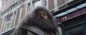 PF-Potterish_01595.jpg