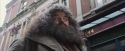 PF-Potterish_01600.jpg