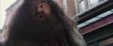 PF-Potterish_01602.jpg