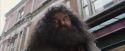 PF-Potterish_01603.jpg