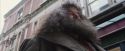 PF-Potterish_01604.jpg
