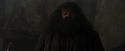 PF-Potterish_01643.jpg