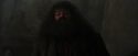 PF-Potterish_01644.jpg