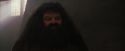 PF-Potterish_01685.jpg