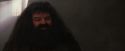 PF-Potterish_01686.jpg
