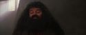 PF-Potterish_01687.jpg