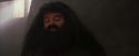 PF-Potterish_01688.jpg
