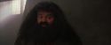 PF-Potterish_01689.jpg