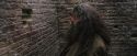 PF-Potterish_01738.jpg