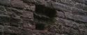 PF-Potterish_01744.jpg