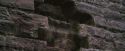 PF-Potterish_01747.jpg
