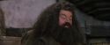 PF-Potterish_01764.jpg