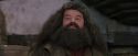 PF-Potterish_01765.jpg