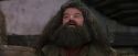 PF-Potterish_01766.jpg