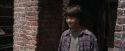 PF-Potterish_01771.jpg