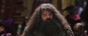PF-Potterish_01796.jpg