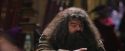 PF-Potterish_01797.jpg