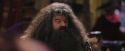 PF-Potterish_01798.jpg
