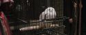 PF-Potterish_01819.jpg
