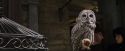 PF-Potterish_01822.jpg