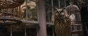 PF-Potterish_01824.jpg