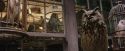 PF-Potterish_01825.jpg