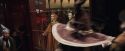 PF-Potterish_01837.jpg