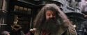 PF-Potterish_01863.jpg
