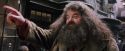 PF-Potterish_01864.jpg