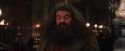 PF-Potterish_01905.jpg