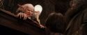 PF-Potterish_01926.jpg