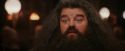 PF-Potterish_01934.jpg