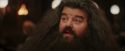 PF-Potterish_01942.jpg