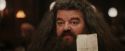 PF-Potterish_01954.jpg