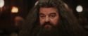 PF-Potterish_01955.jpg