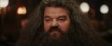 PF-Potterish_01966.jpg