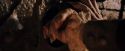 PF-Potterish_02015.jpg