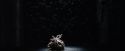 PF-Potterish_02072.jpg