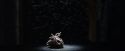 PF-Potterish_02075.jpg