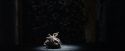 PF-Potterish_02076.jpg