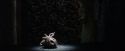 PF-Potterish_02077.jpg